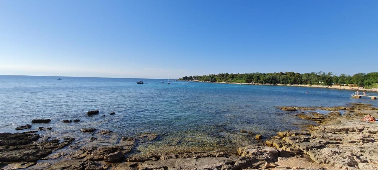 Apartma Morje Savudrija Dış mekan fotoğraf